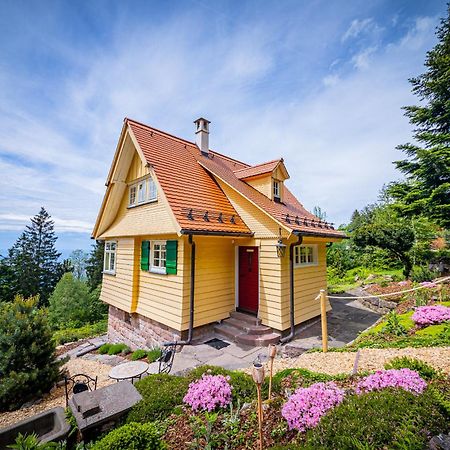 Sonnenhaeusle - Natur. Fernblick. Panorama-Sauna. Sasbachwalden Zewnętrze zdjęcie