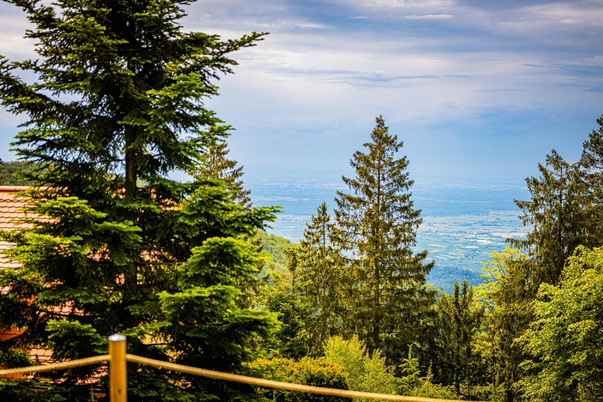 Sonnenhaeusle - Natur. Fernblick. Panorama-Sauna. Sasbachwalden Zewnętrze zdjęcie