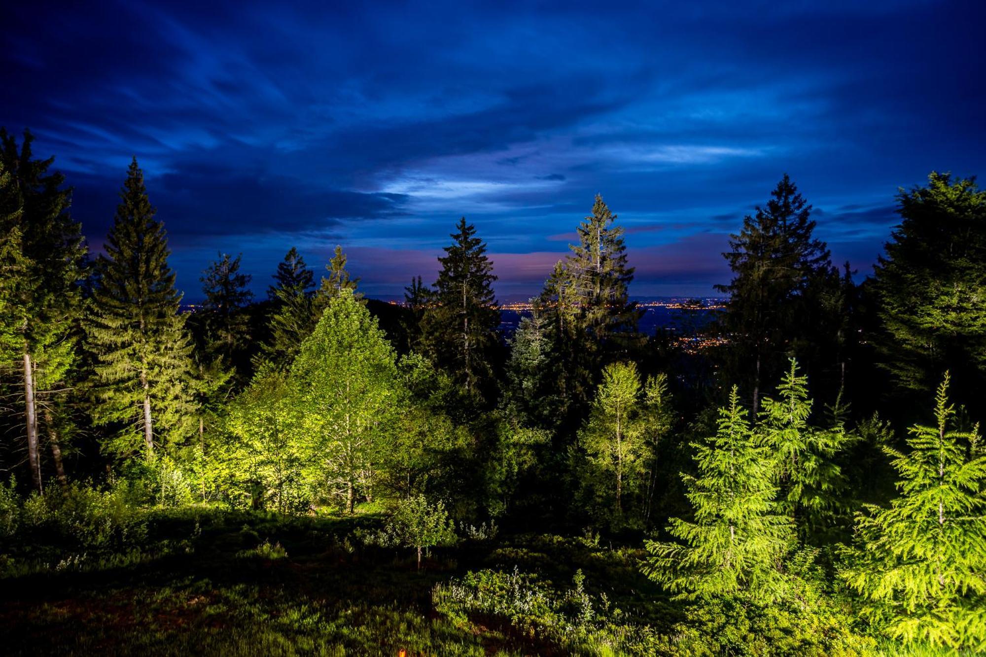 Sonnenhaeusle - Natur. Fernblick. Panorama-Sauna. Sasbachwalden Zewnętrze zdjęcie