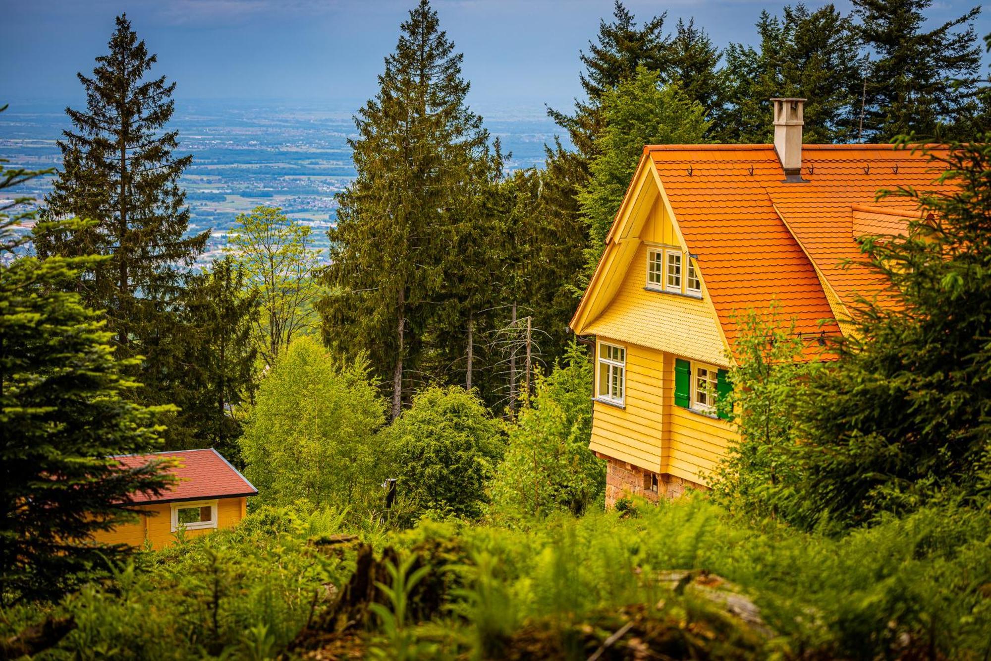 Sonnenhaeusle - Natur. Fernblick. Panorama-Sauna. Sasbachwalden Zewnętrze zdjęcie