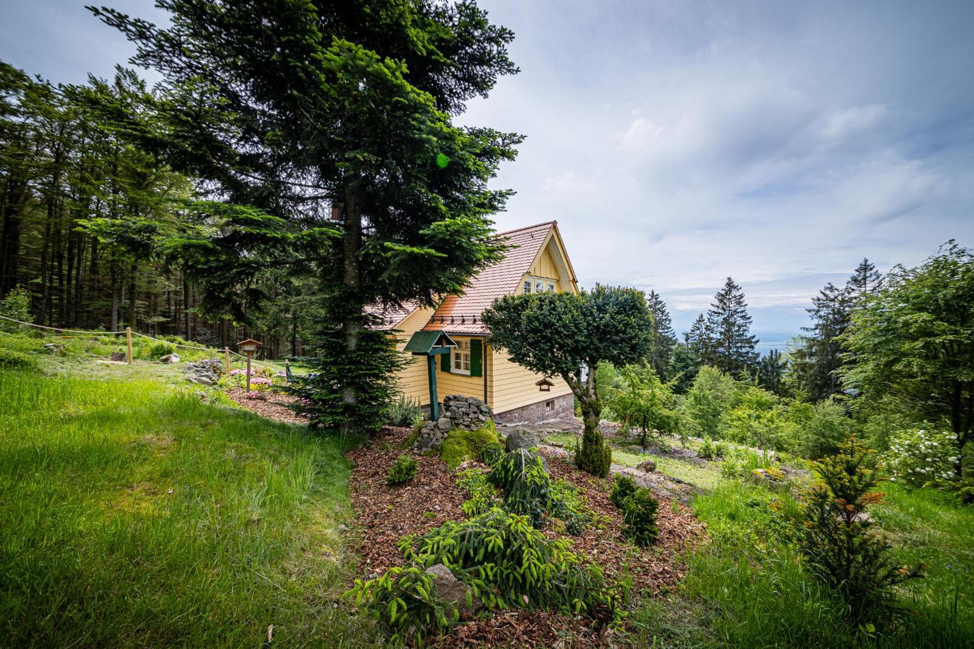 Sonnenhaeusle - Natur. Fernblick. Panorama-Sauna. Sasbachwalden Zewnętrze zdjęcie
