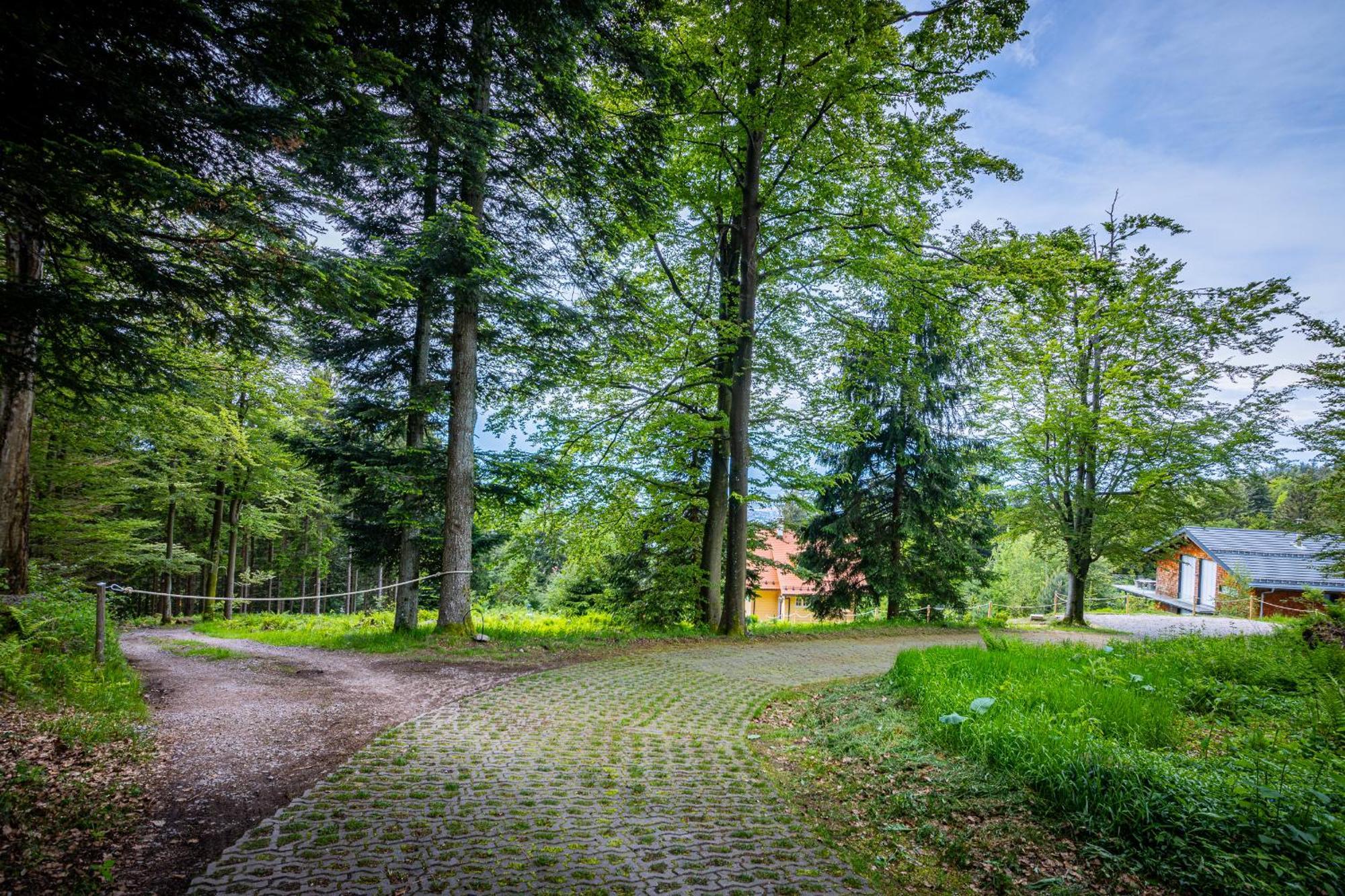 Sonnenhaeusle - Natur. Fernblick. Panorama-Sauna. Sasbachwalden Zewnętrze zdjęcie