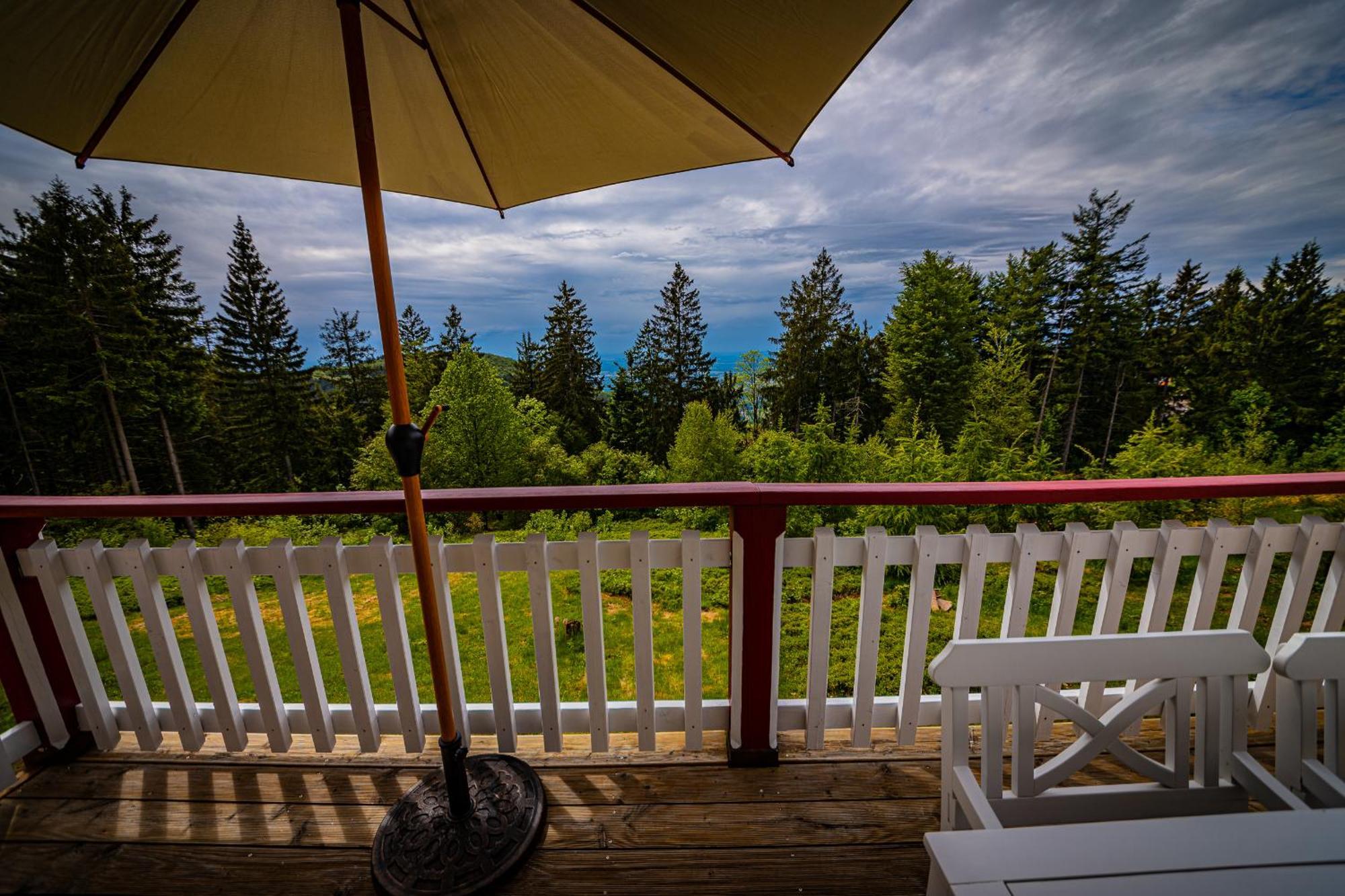 Sonnenhaeusle - Natur. Fernblick. Panorama-Sauna. Sasbachwalden Zewnętrze zdjęcie